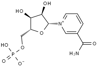β-นิโคตินาไมด์